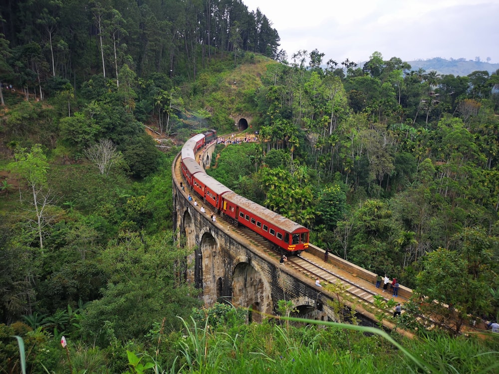 a train traveling over a bridge in the middle of a forest