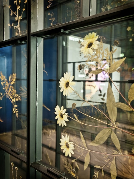 A display of pressed flowers is enclosed behind glass panels. The flowers, predominantly yellow with thin, green stems and leaves, are arranged artistically against a dark background. Their delicate structure and details are visible, creating an intricate and elegant pattern.