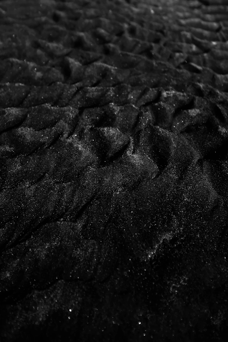 Close-up of dark, carbon-rich soil