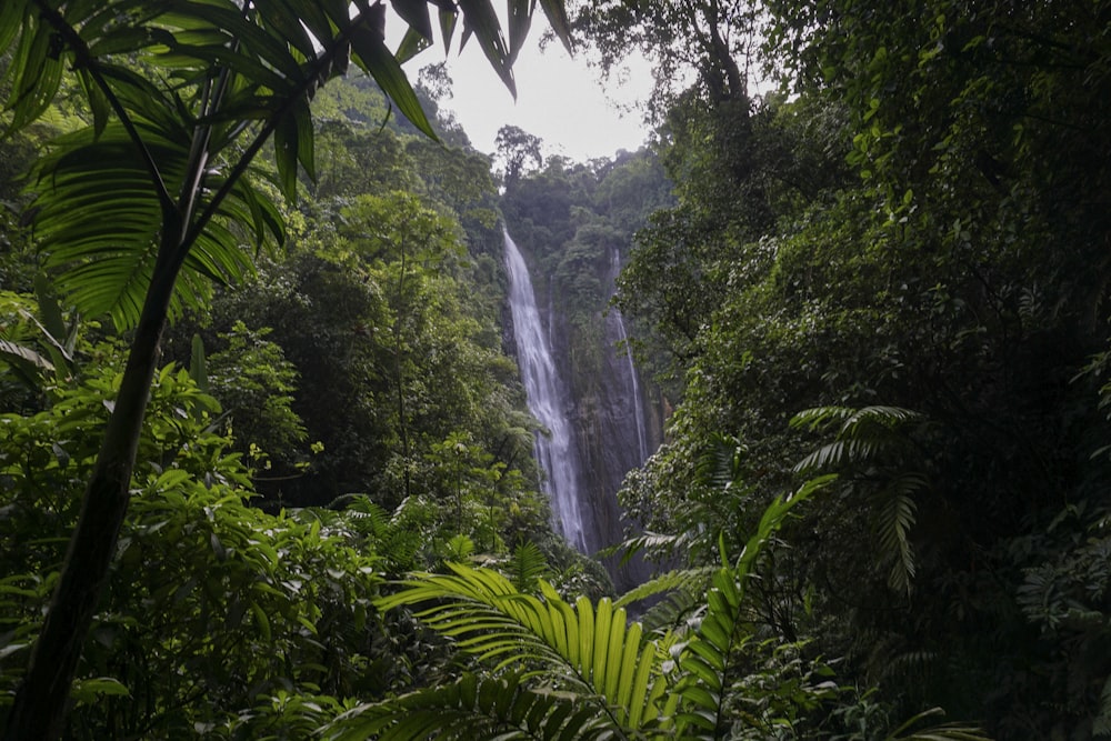 waterfalls during daytime