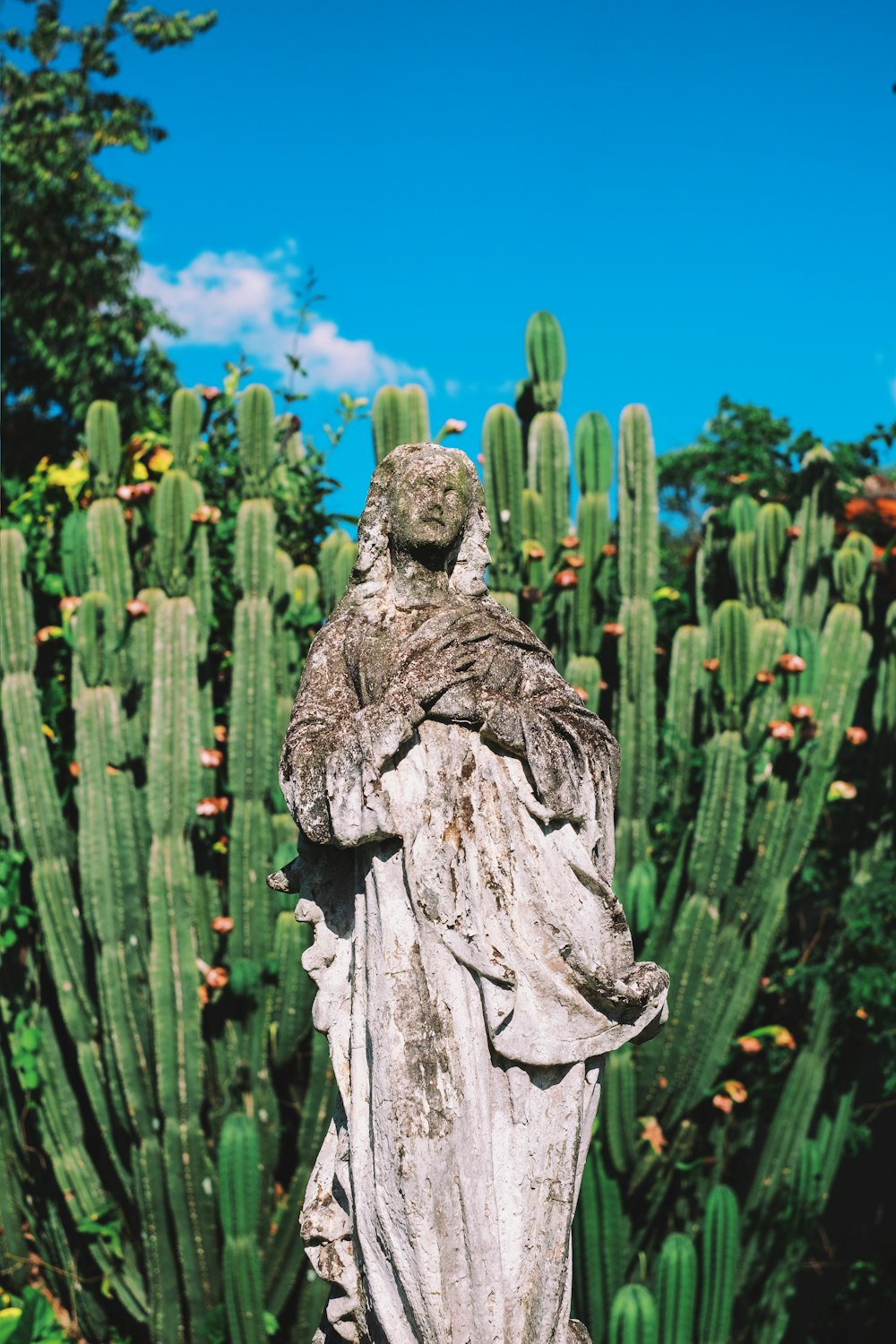 woman standing statue near cactus plant