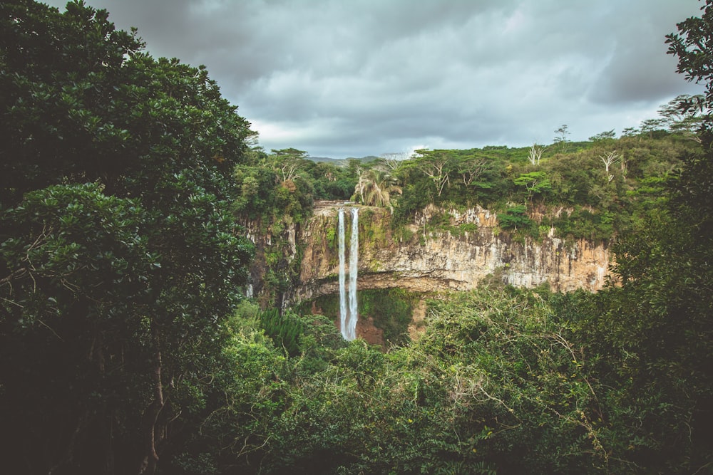 waterfalls surrounded by trees