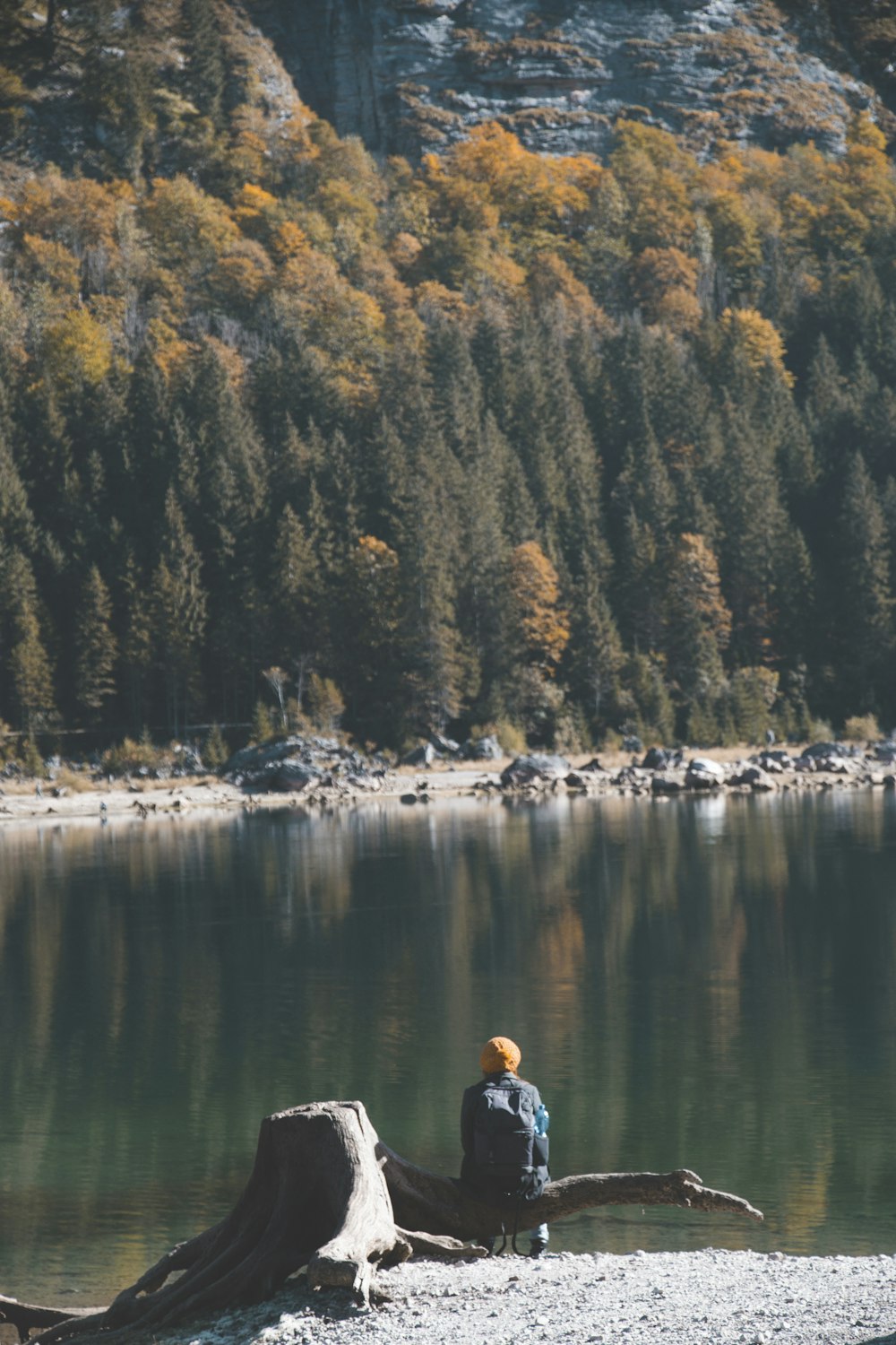 man sitting on tree root near body of water