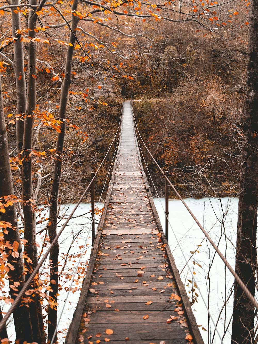 leaves on gray wooden hanging bridge during daytime