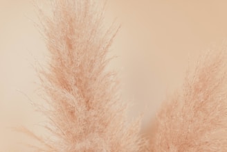 Pampas grass bouquet with warm tones displayed against a neutral linen backdrop