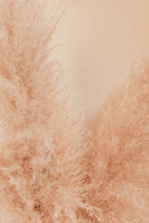 Soft focus image of natural woven textures in warm neutral tones, evoking comfort.