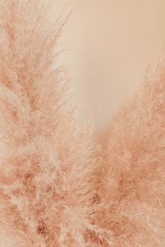 Soft, fluffy textures with a gentle peachy hue dominate the image. Fine, delicate strands of what appear to be natural fibers create a sense of lightness and airiness.
