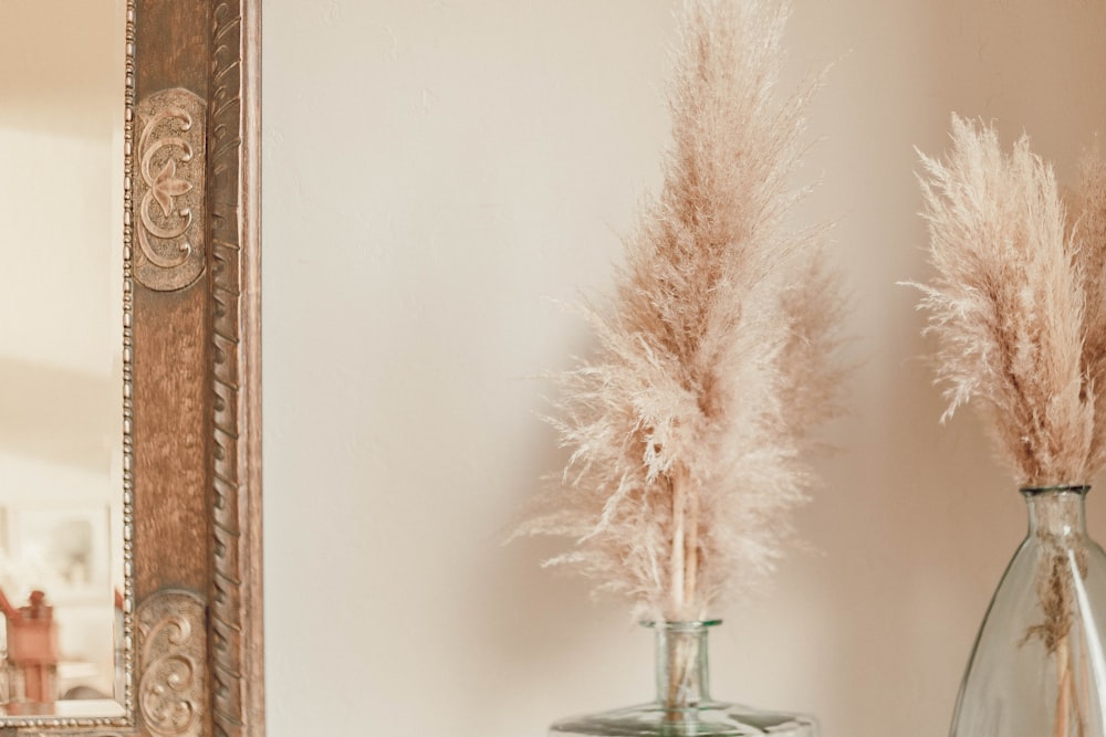 white feather in clear glass bottle