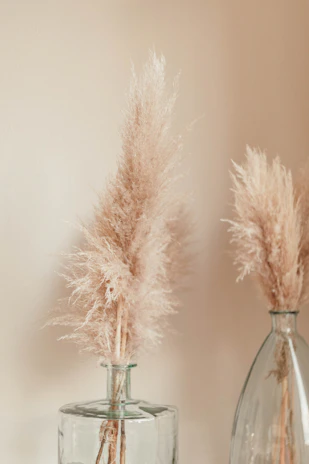 Close-up of a hand-crafted ceramic vase filled with dried pampas grass against a whitewashed wooden backdrop.