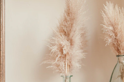 Softly lit ceremony installation with pampas grass and delicate blooms in neutral tones.