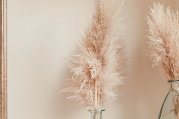 Elegant arrangement of tall pampas grass in a minimalist white vase on a wooden table
