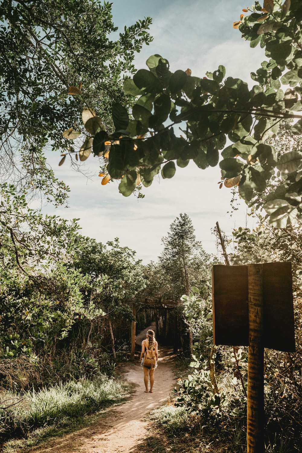 woman standing beside plants