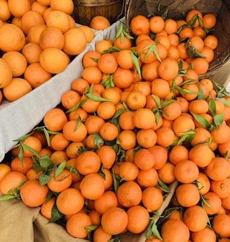 pile of orange fruits