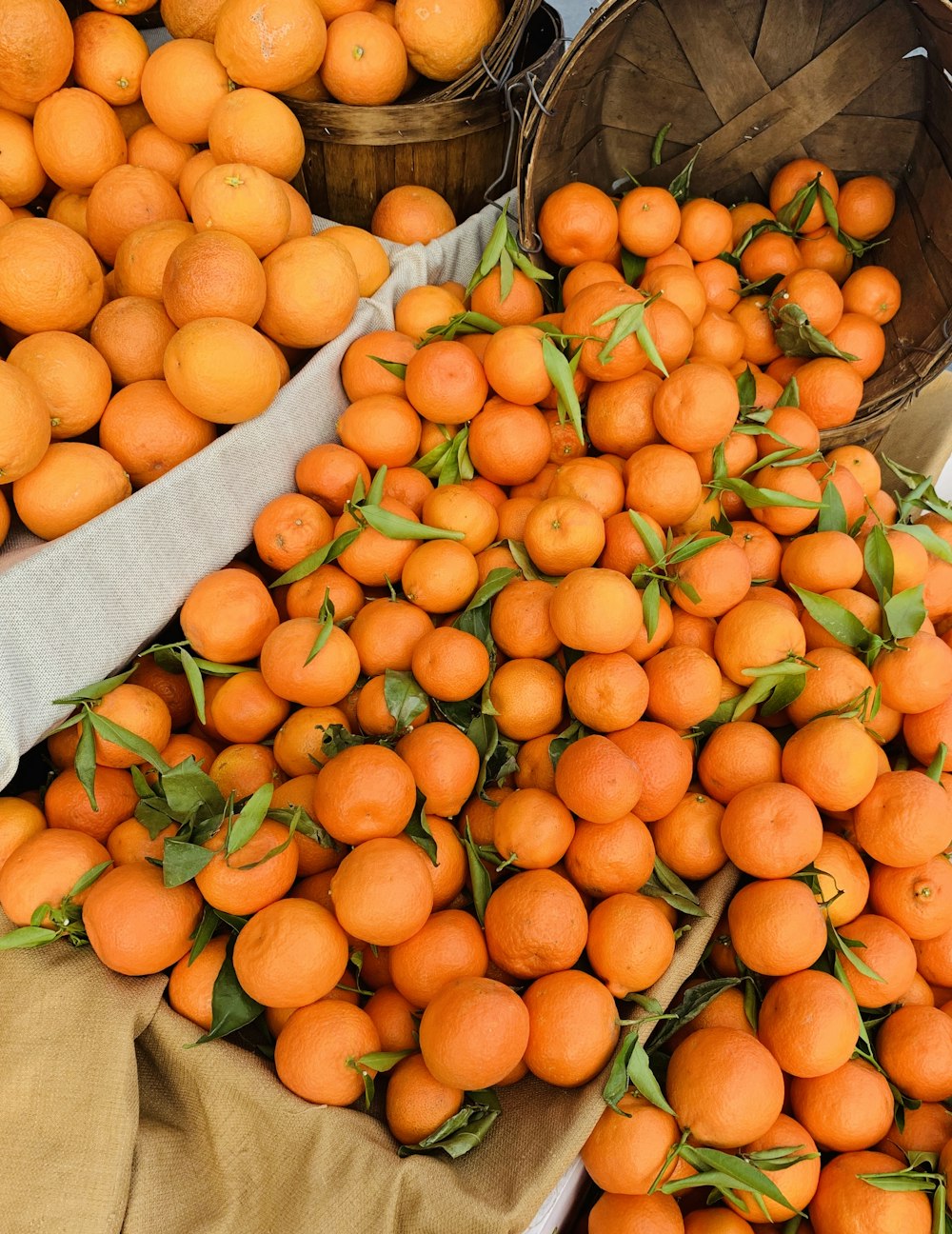 pile of orange fruits