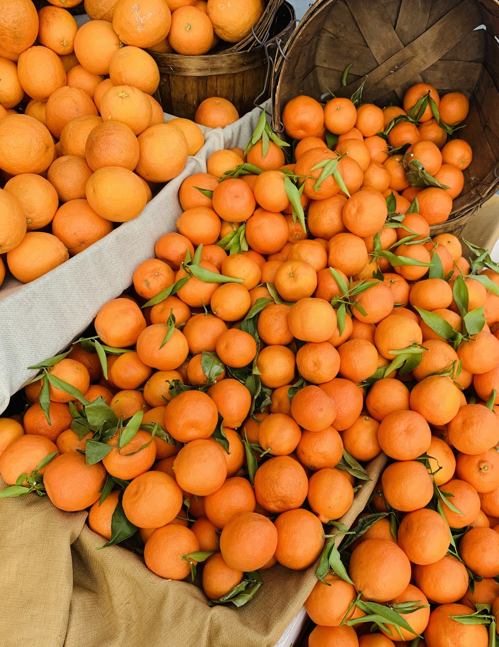 Apple iPhone XR sample photo. Pile of orange fruits photography