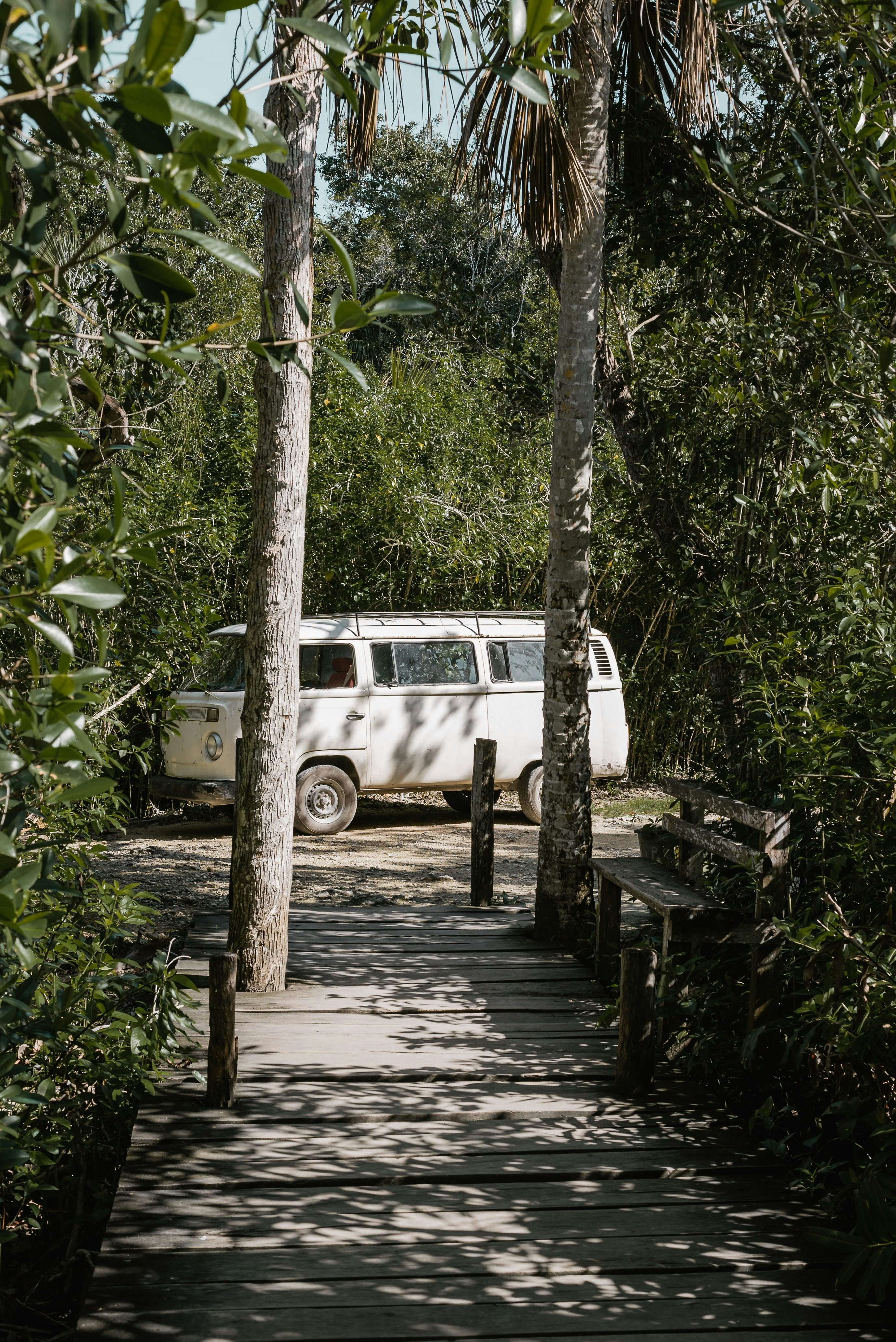 Mangrove National Park photo 3