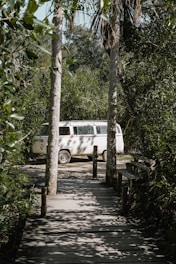 A sleek white van parked by a scenic Thai countryside road with sunlight filtering through trees