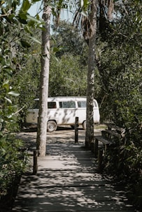 A peaceful van parked in nature with solar panels gleaming under the sun.