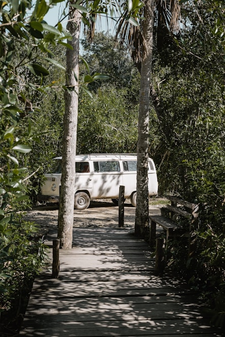 A peaceful van parked in nature with solar panels gleaming under the sun.
