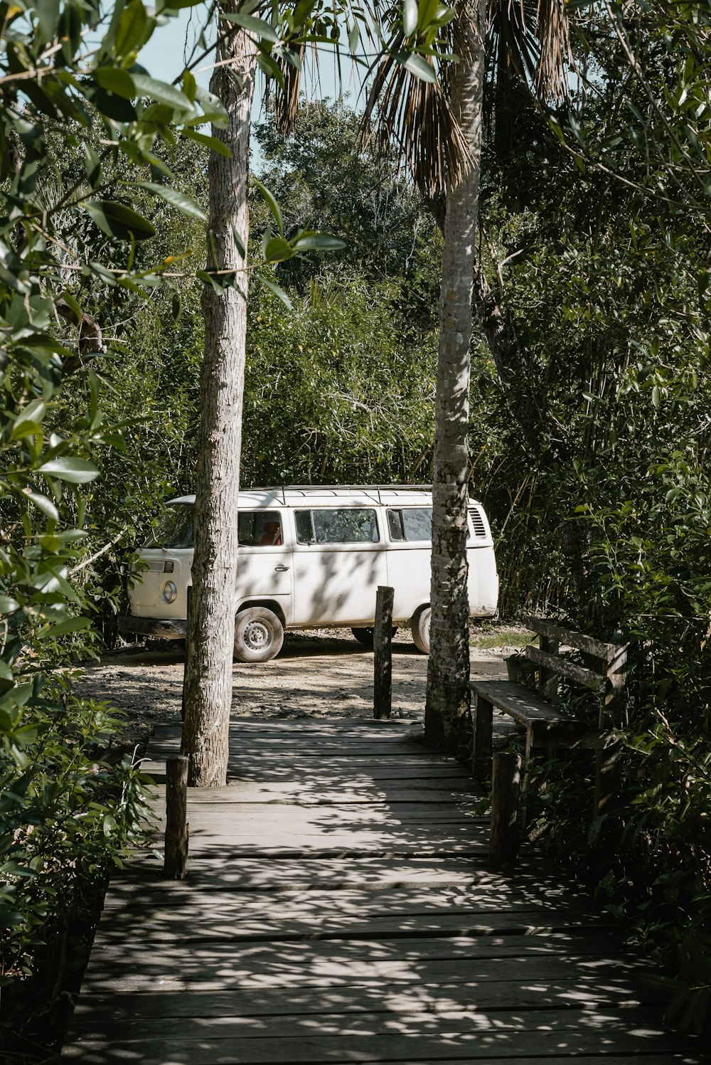 white Volkswagen Transporter parked beside green trees