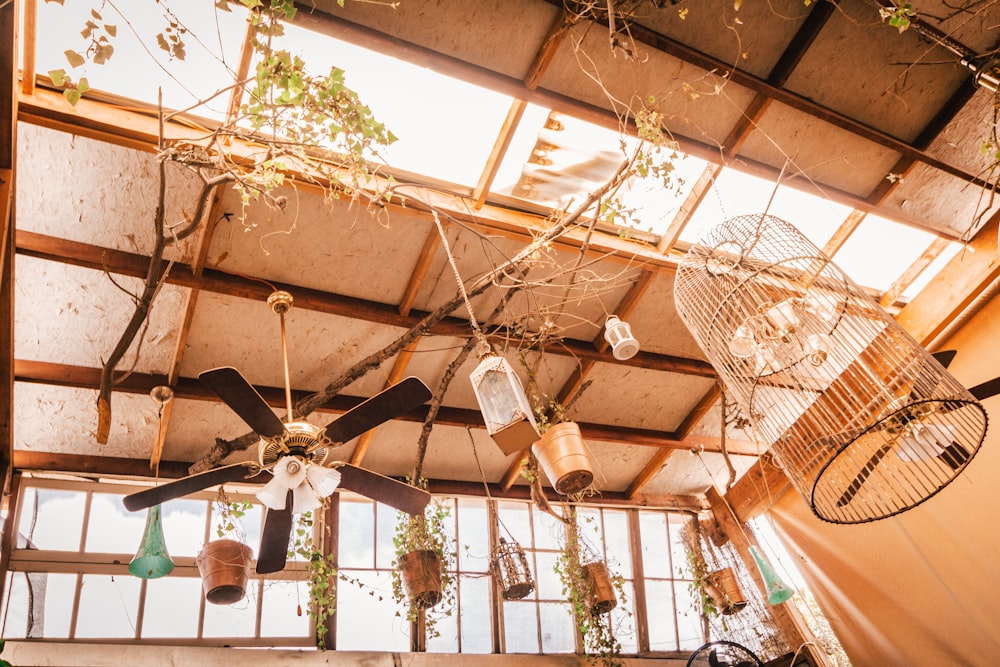 birdcage hanging near ceiling fan