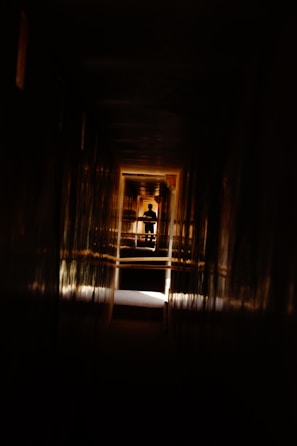 A dimly lit hallway with a faint silhouette at the far end.