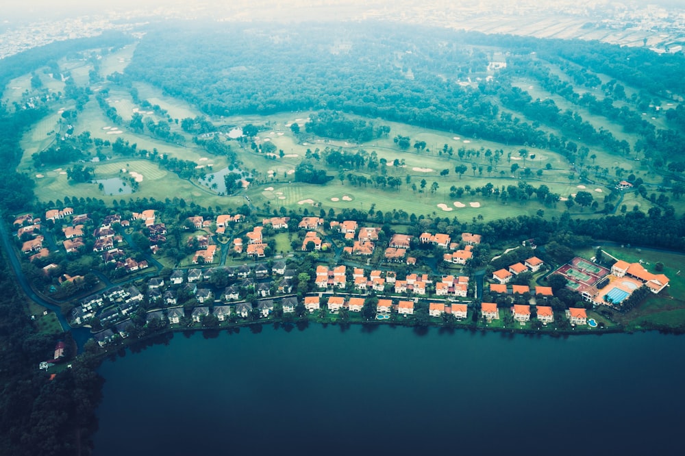 birds eye photography of houses