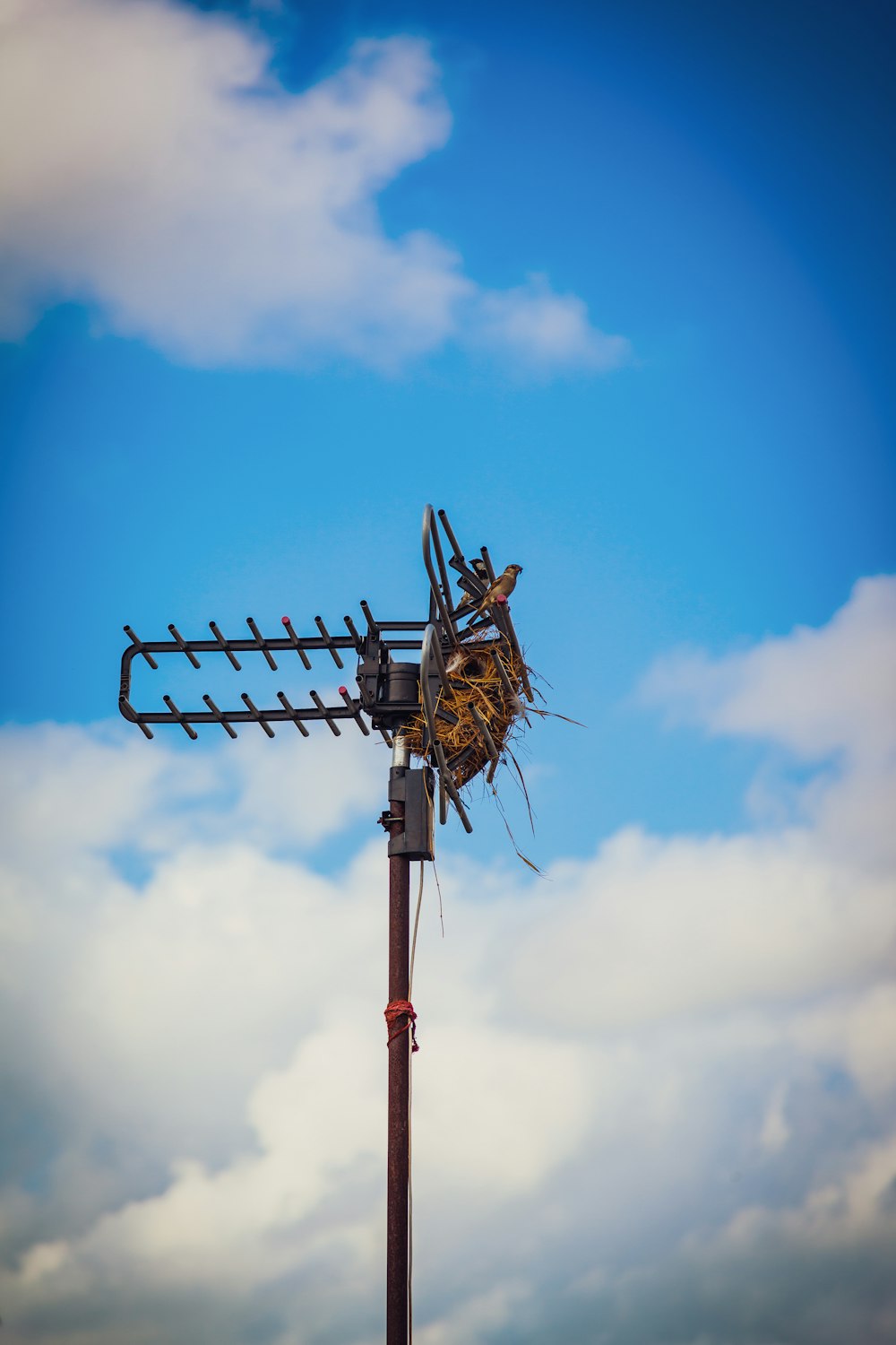 black metal post under blue sky