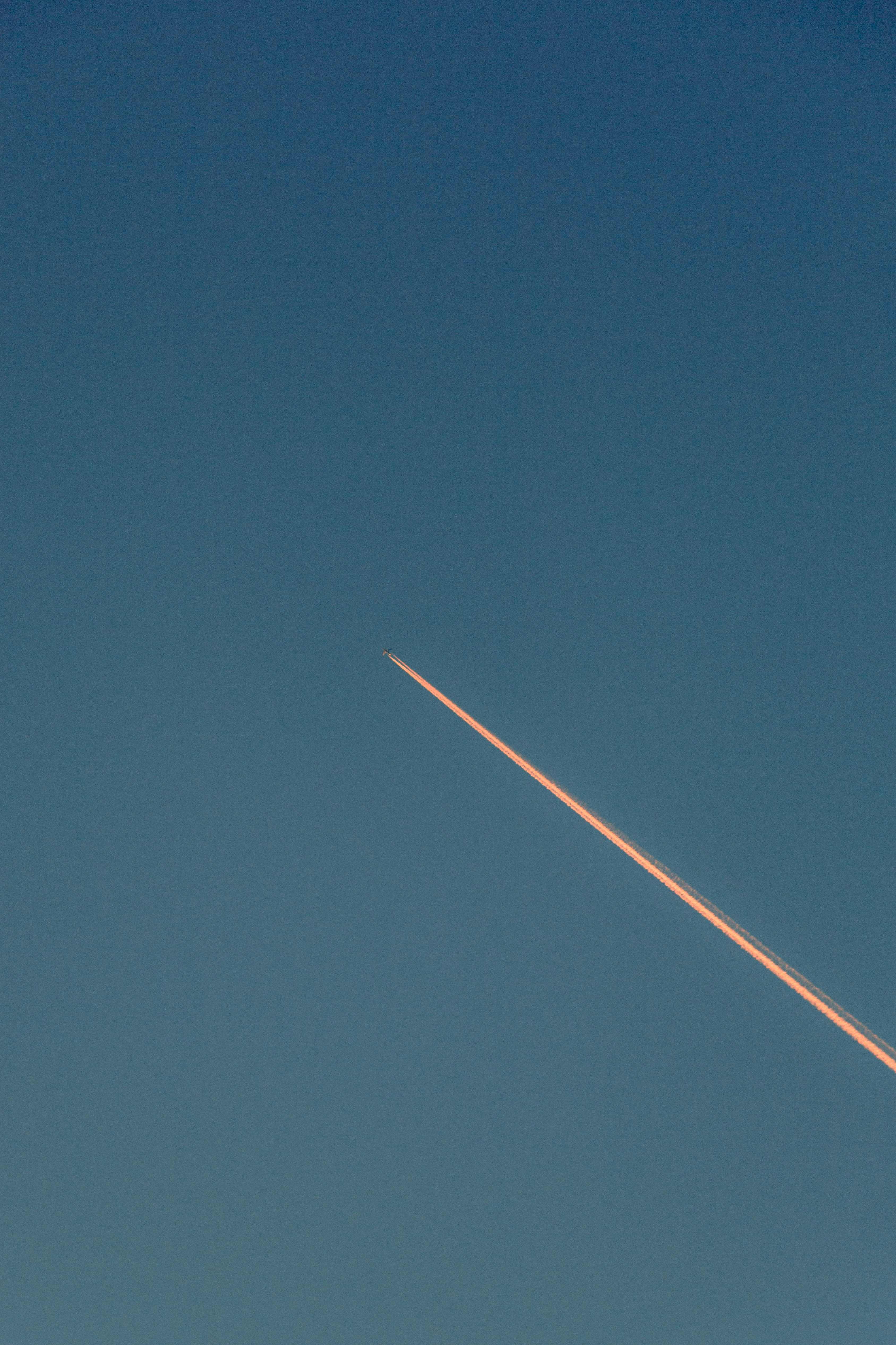 Photo by lysanderyuen