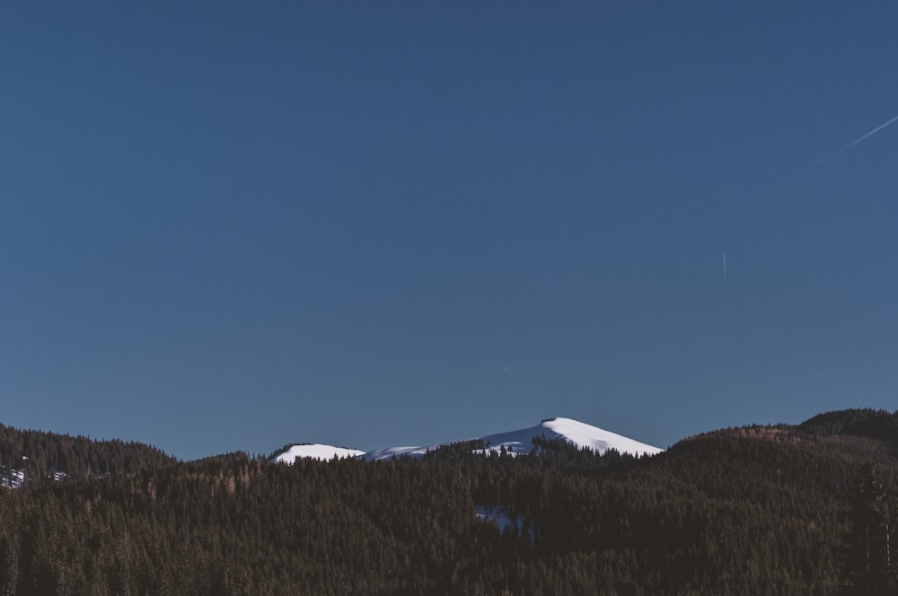 mountain covered with snow