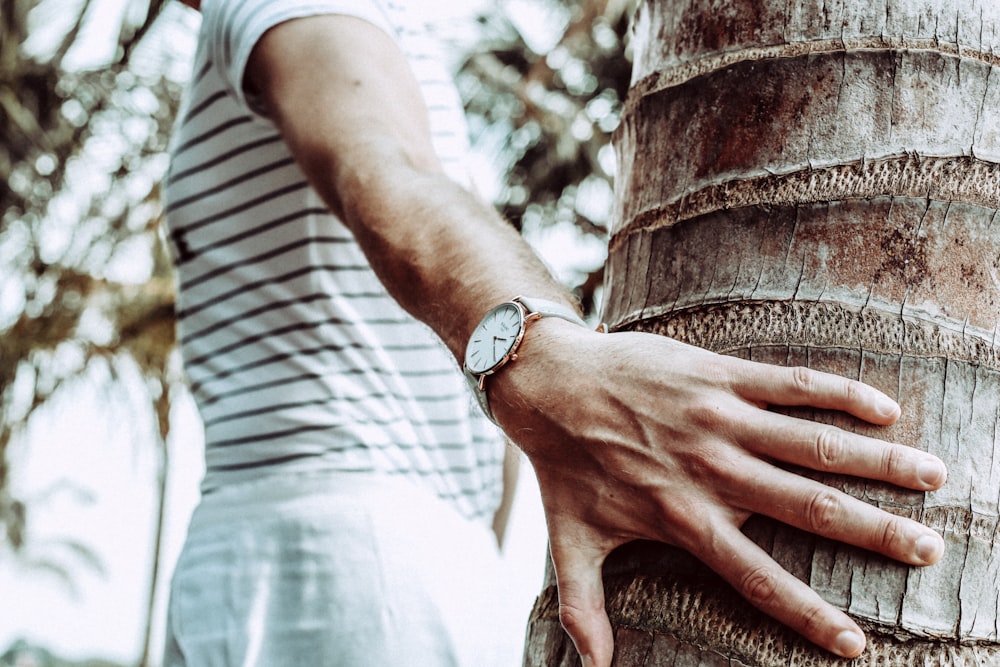 person in white shirt holding tree trunk