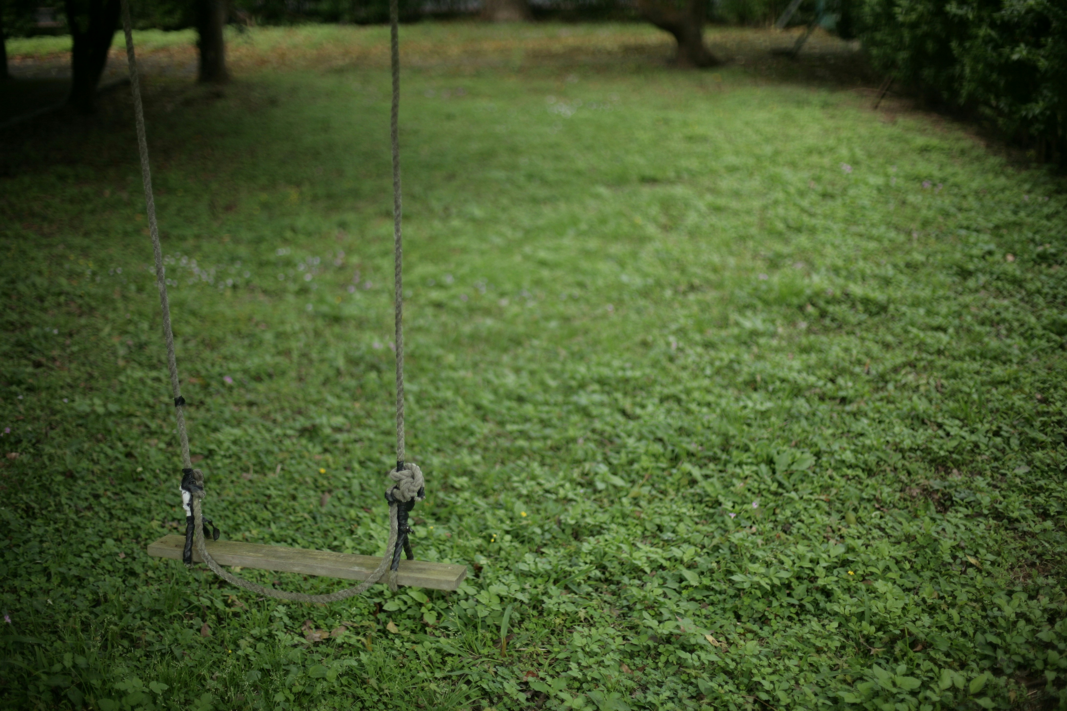 Elegant Outdoor Swing