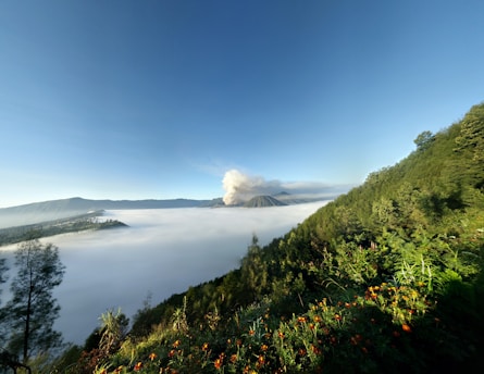 A scenic landscape featuring a volcano emitting a plume of smoke. Dense clouds or mist cover the valley below, with lush green hillsides and vibrant wildflowers in the foreground. The sky is clear and blue, enhancing the tranquil beauty of the scene.