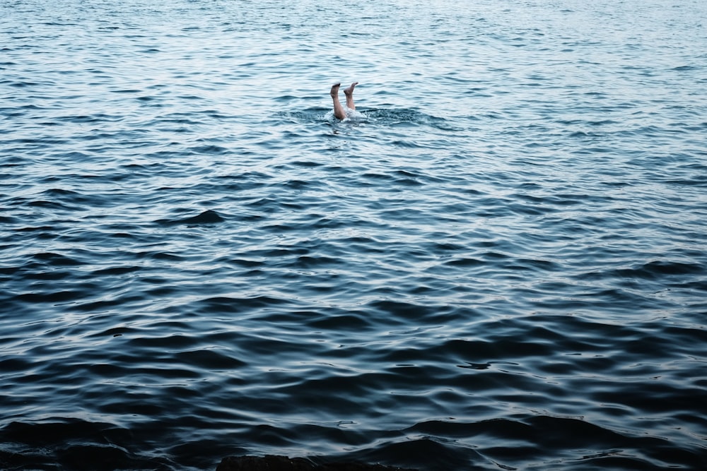 person swimming during daytime