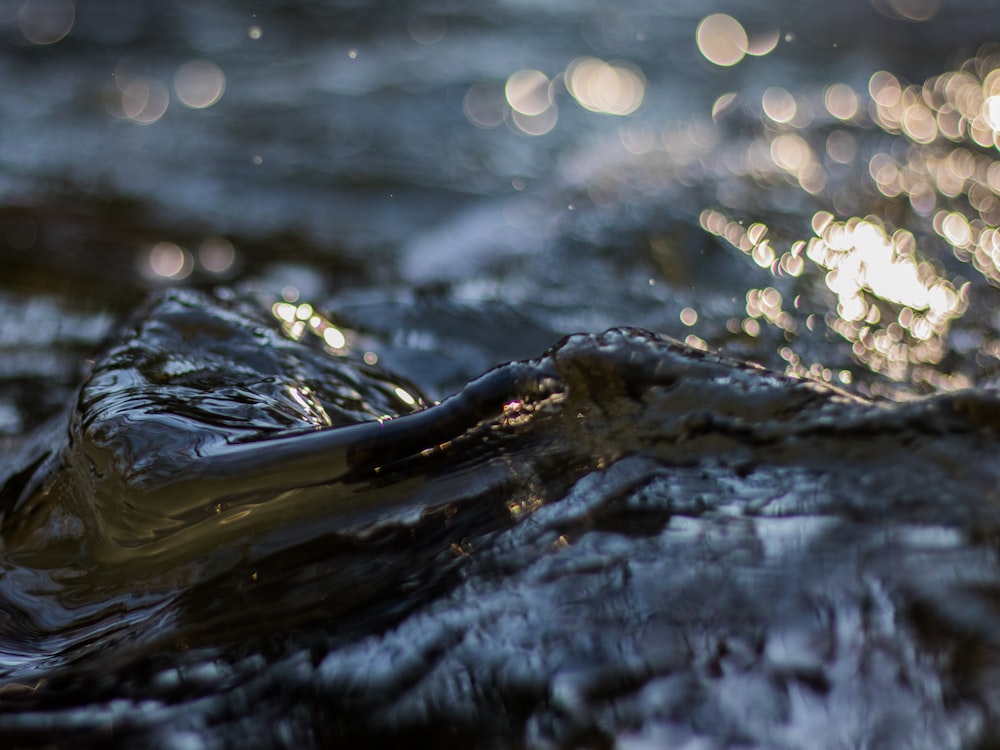 water splash with bokeh lights