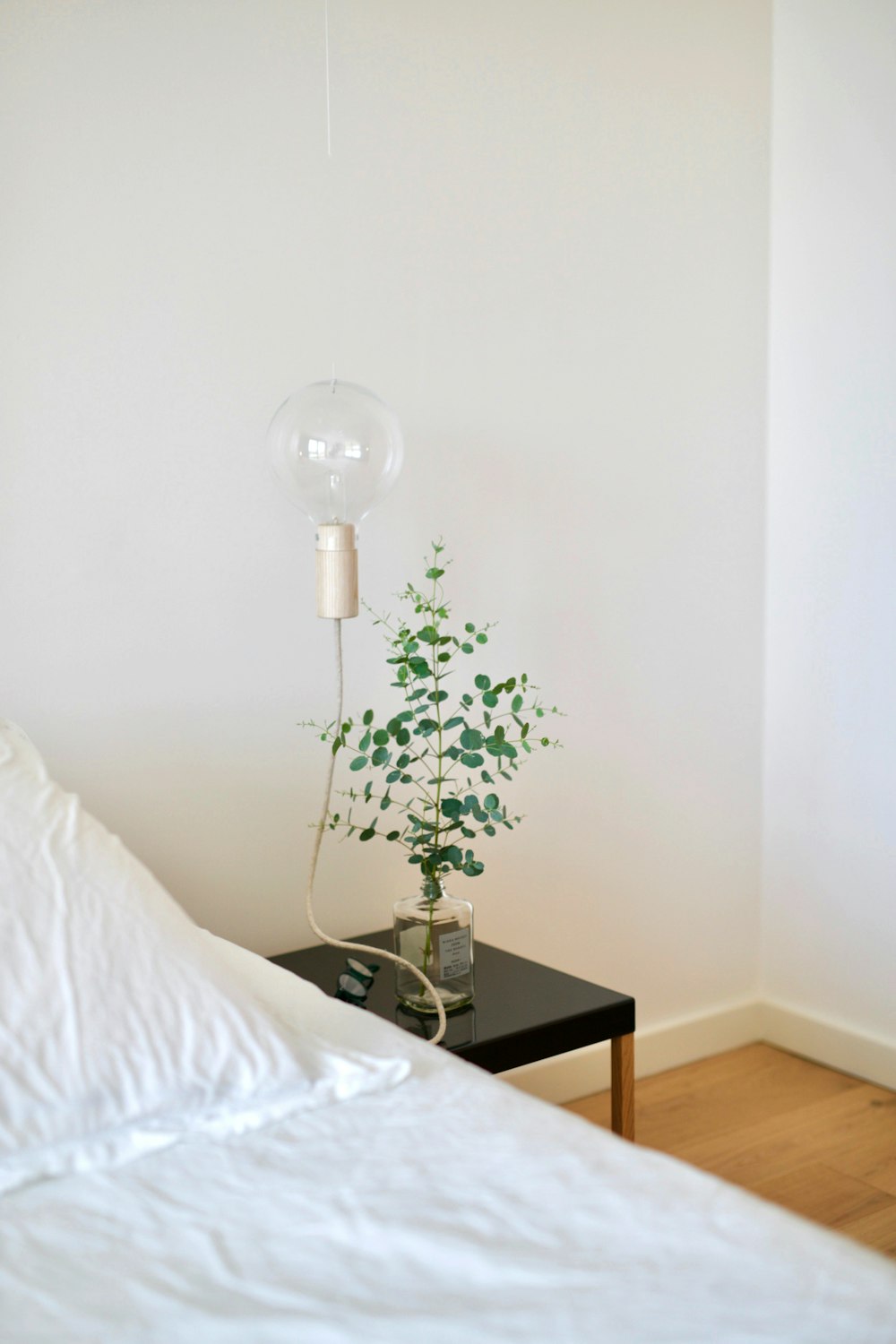 green plant beside table lamp in room