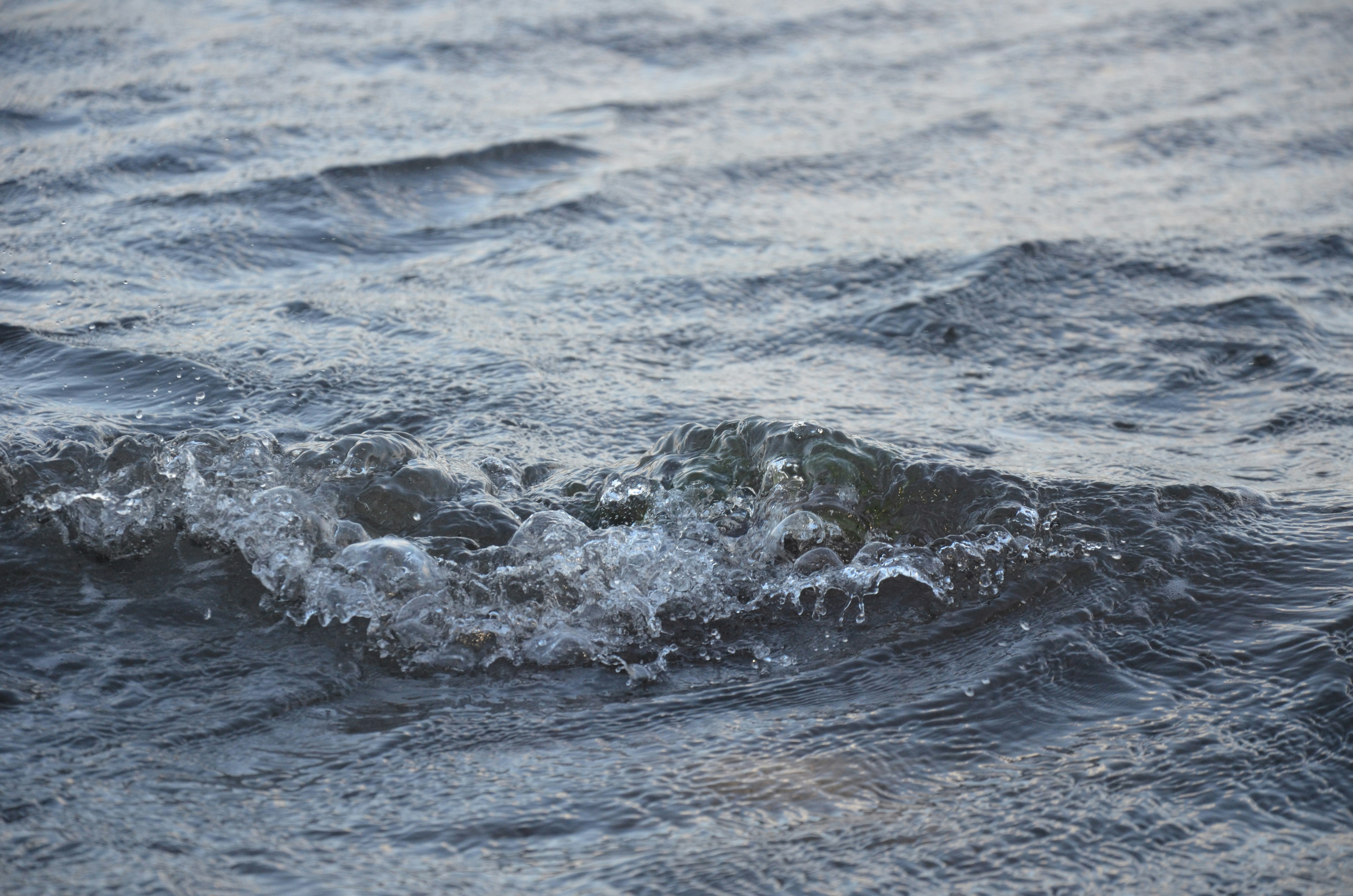 Photo by christycamera