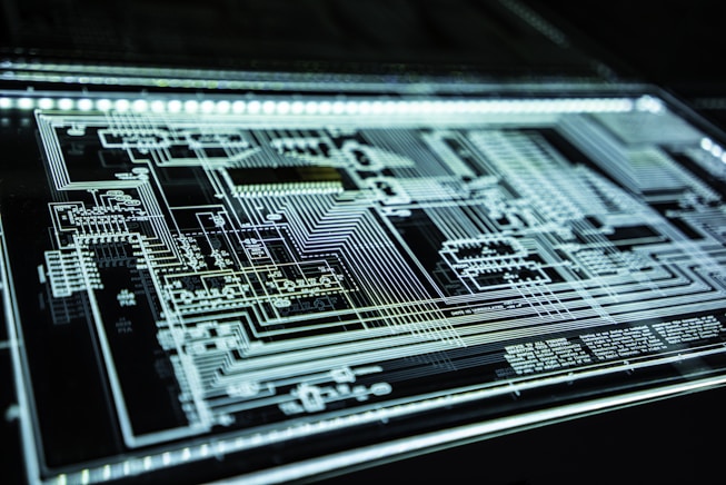 Digital IDs: Transforming Personal Identification in the Digital Age