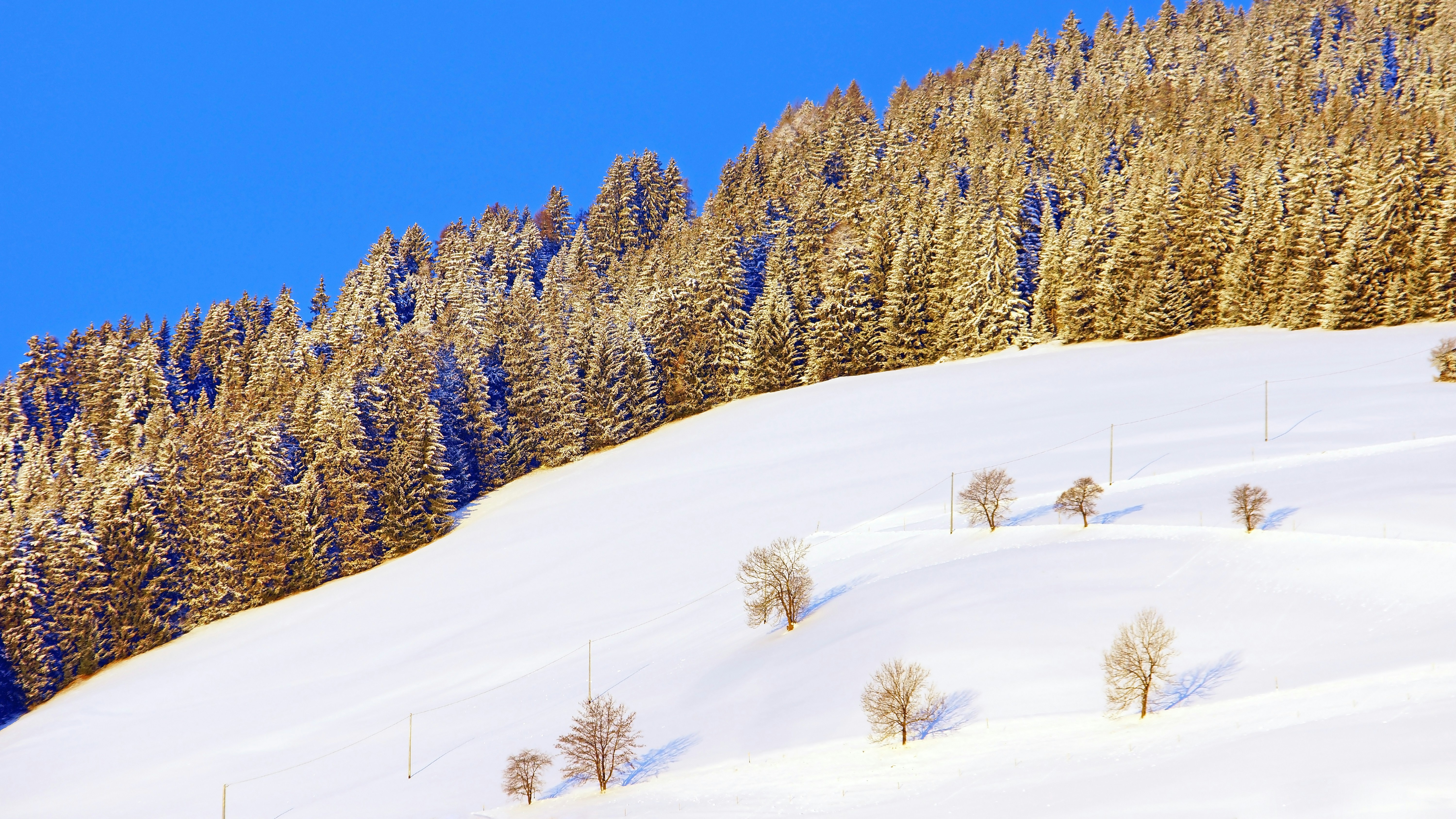 Photo by borisview