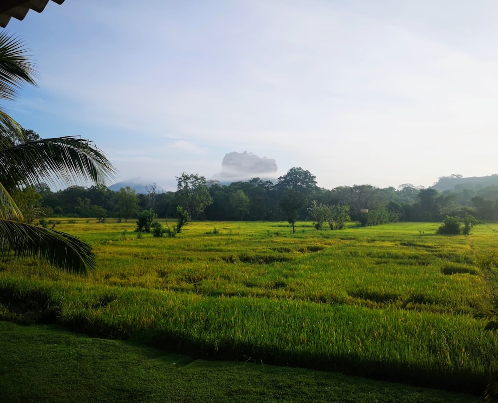 landscape photography of farm