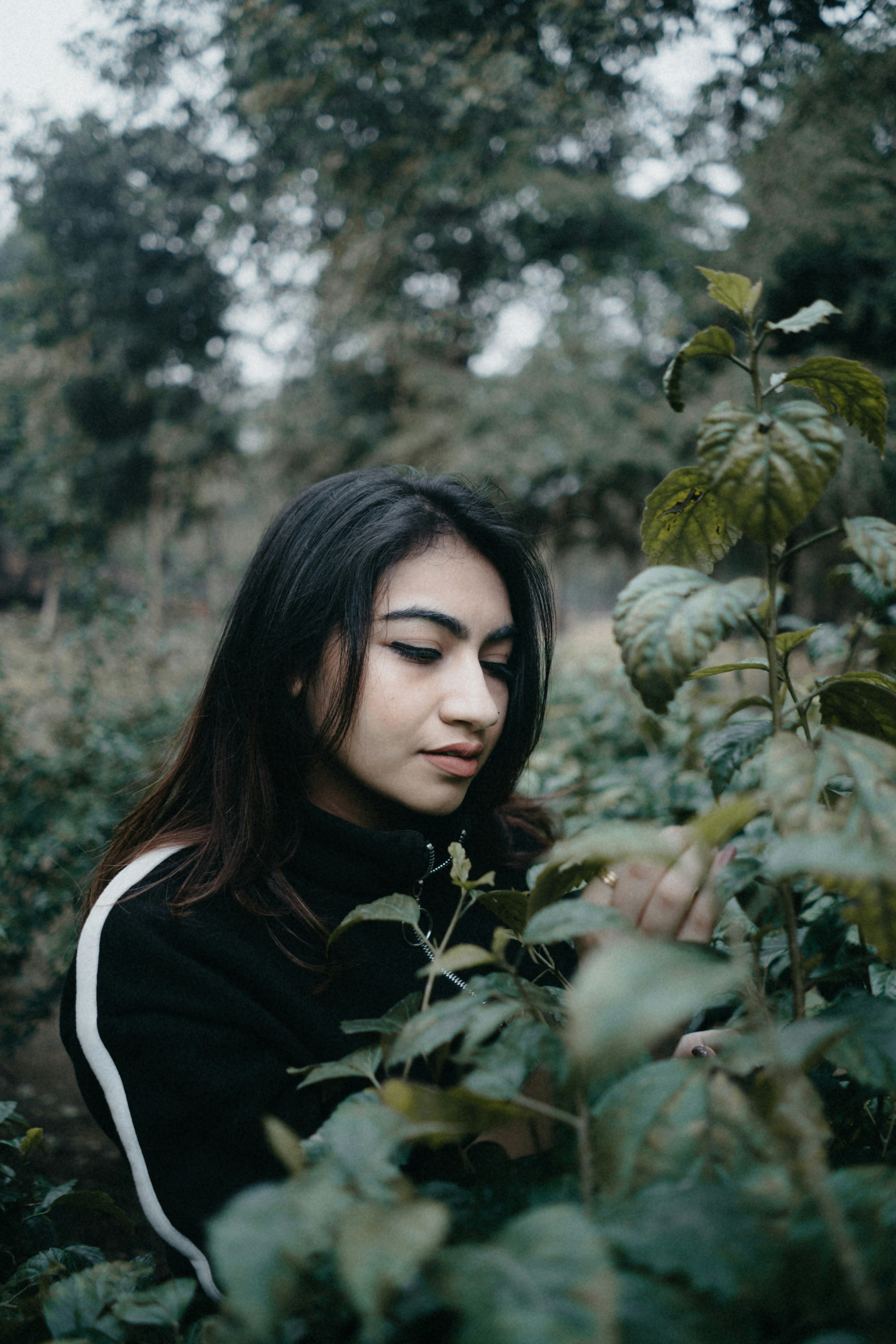 The Bandwagon Effect: Why Popular Things Become More Popular