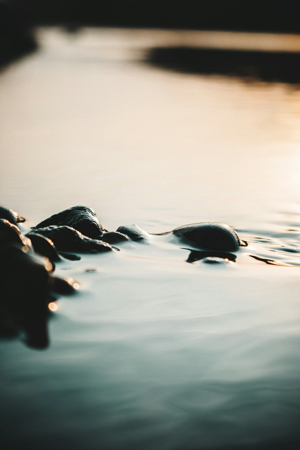 macro photogprahy of body of water