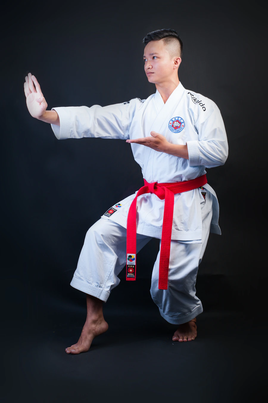 Sensei Alin Andrii