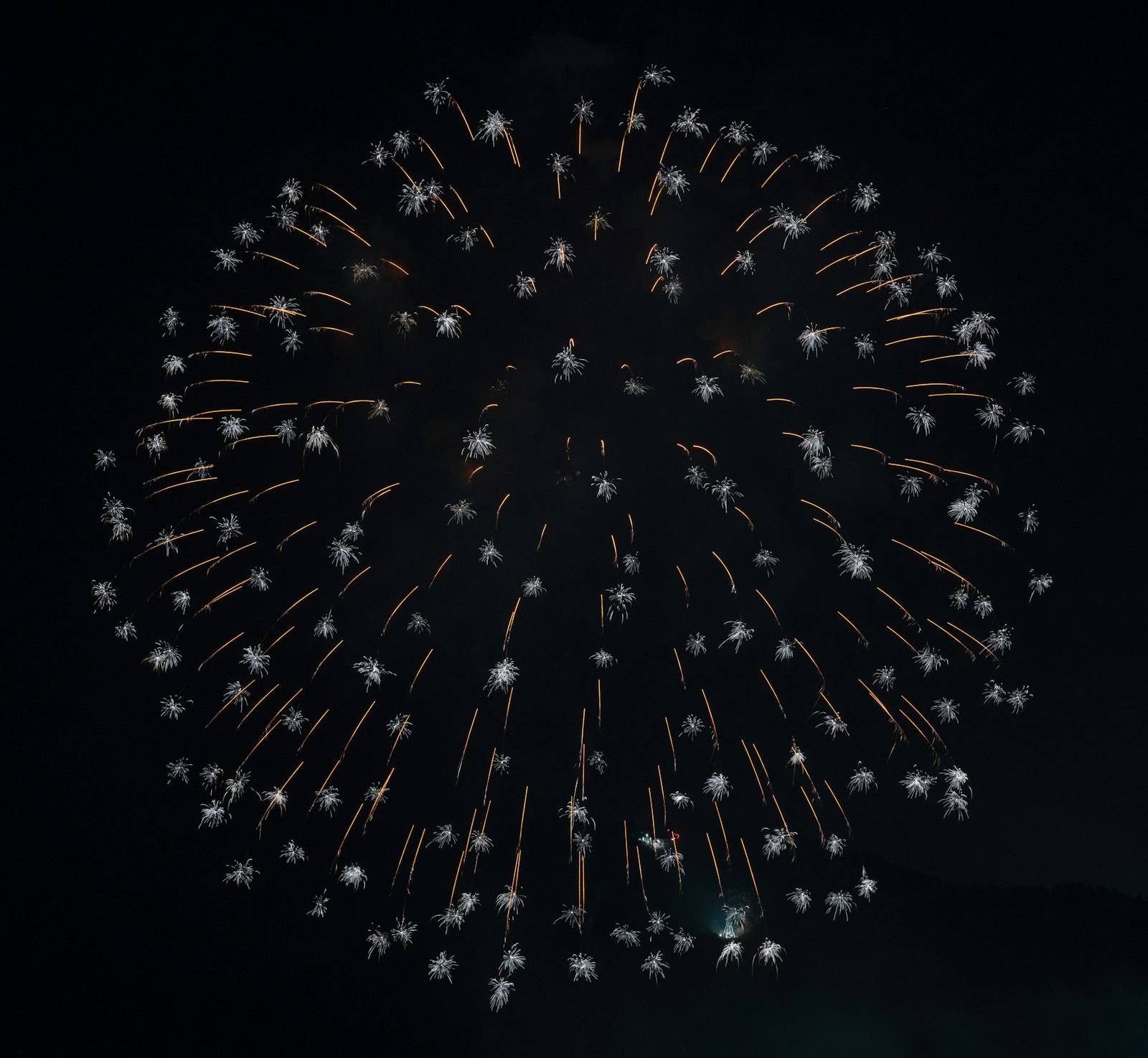 Sony a7R III + Sony Sonnar T* FE 55mm F1.8 ZA sample photo. Fireworks during nighttime photography