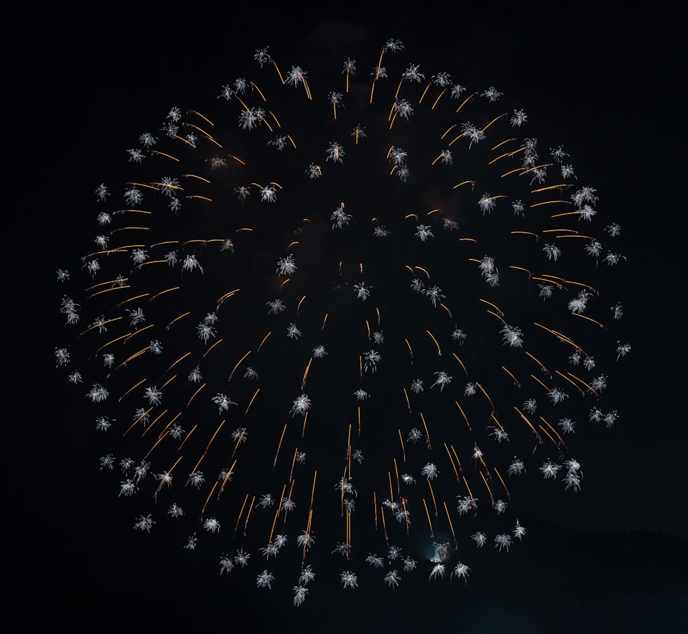 fireworks during nighttime