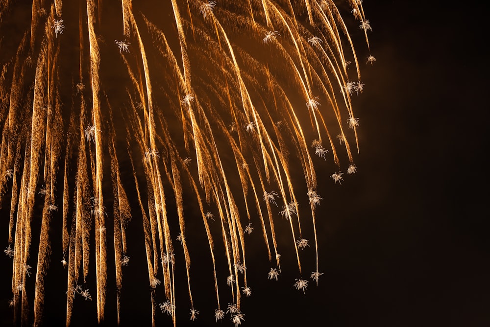 fireworks display