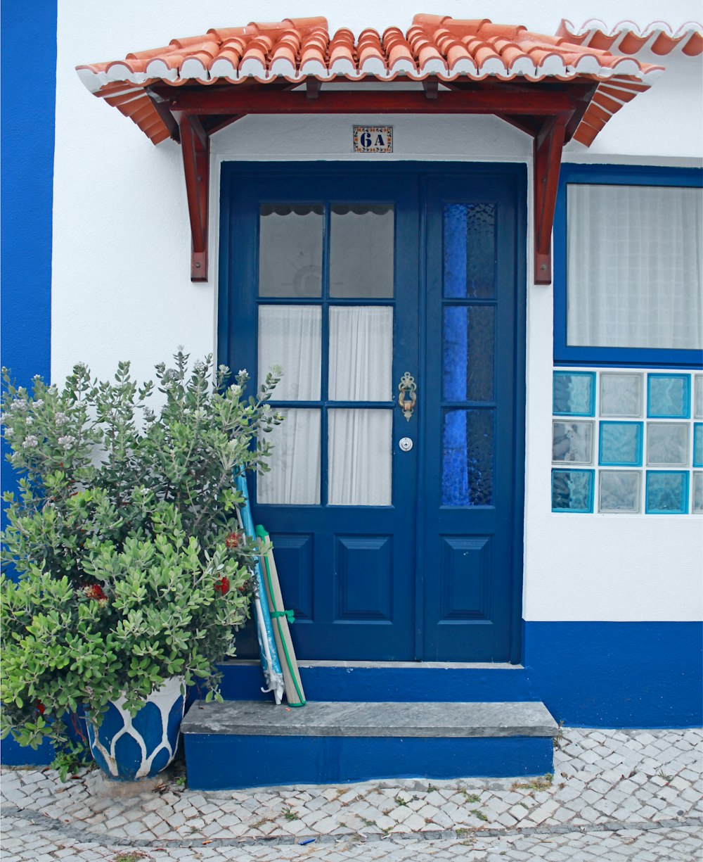 green-leafed plants beside blue and white painted house