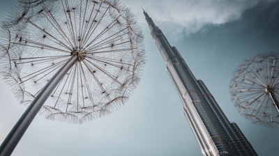 low angle photo of high rise building