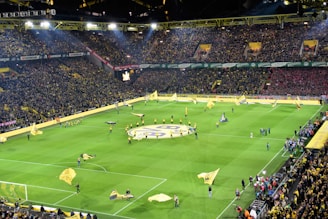 A vibrant stadium filled with fans waving flags during a World Cup match