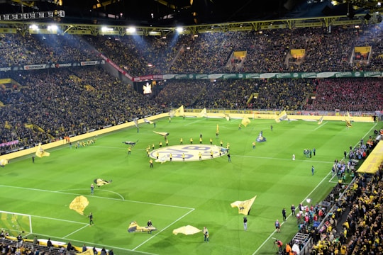 A large soccer stadium filled with a crowd of spectators, showcasing vibrant yellow and black team colors. The field is set for the match with multiple large flags being waved by individuals on the pitch. The stands are packed, creating a lively atmosphere as fans eagerly await the game.